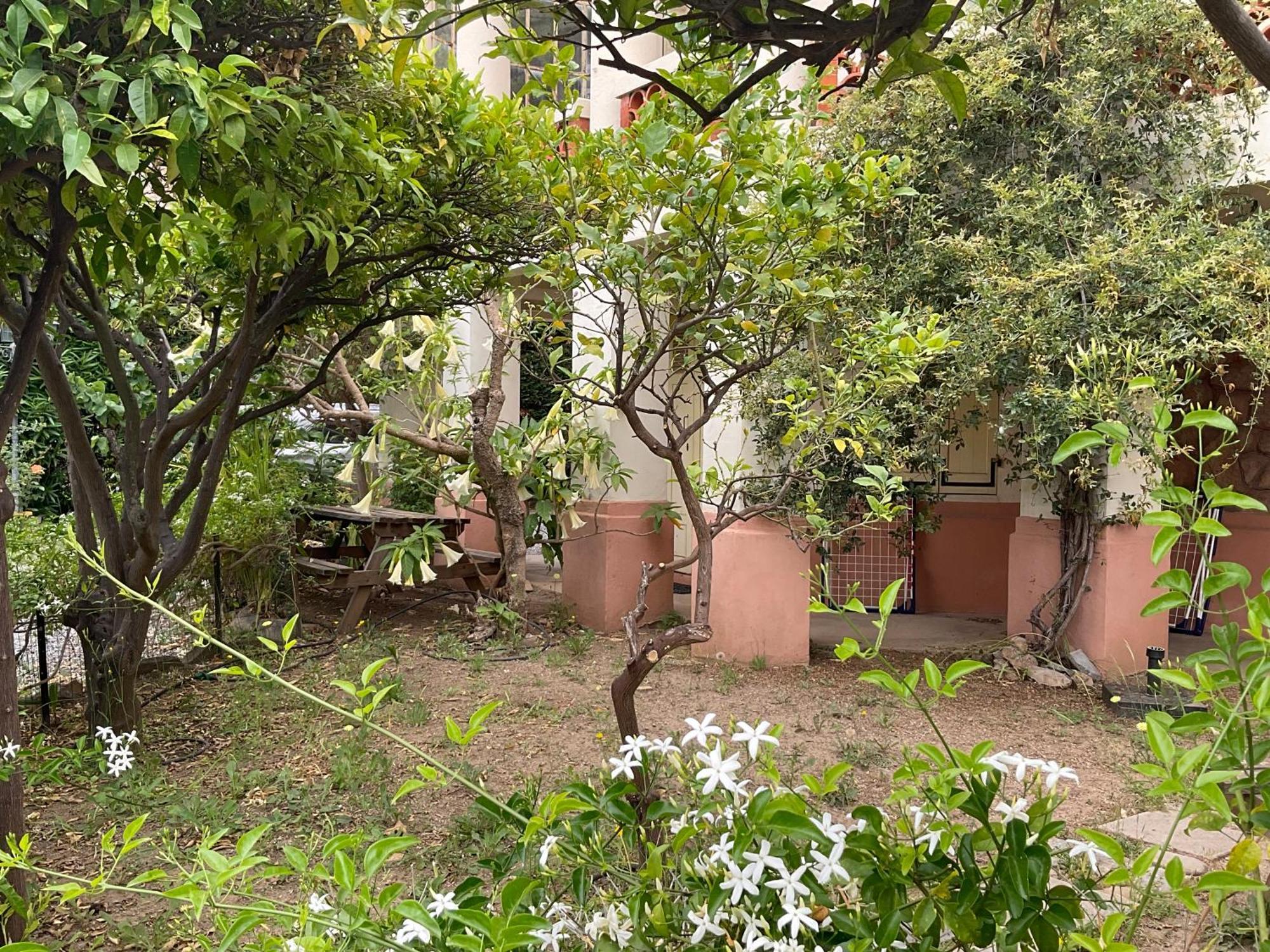Villa La Provence Hyères Buitenkant foto