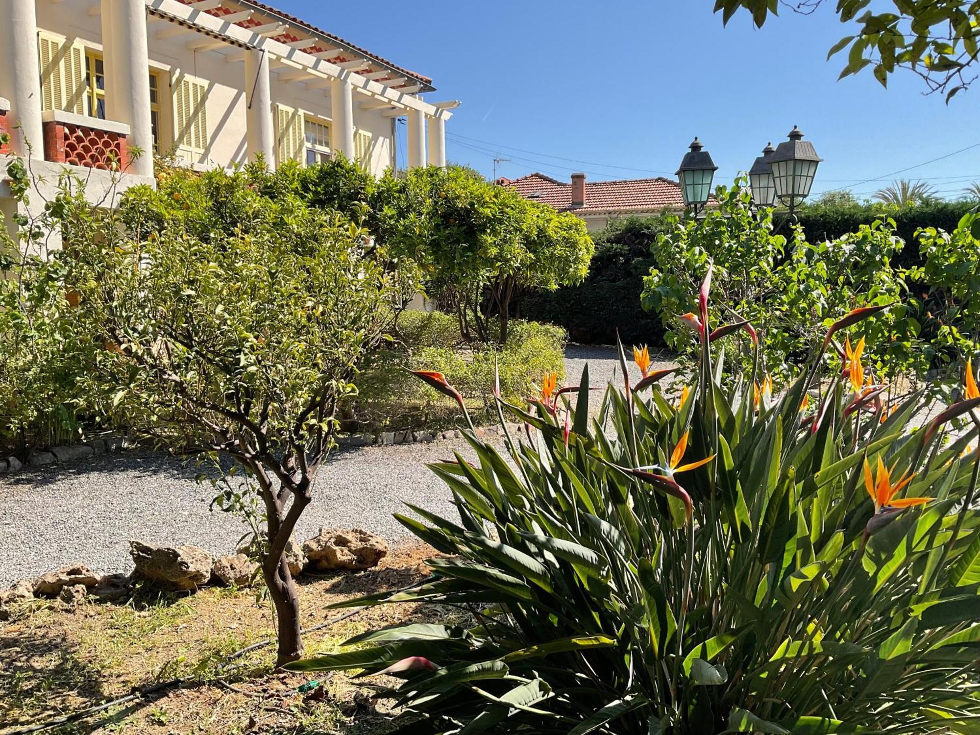 Villa La Provence Hyères Buitenkant foto
