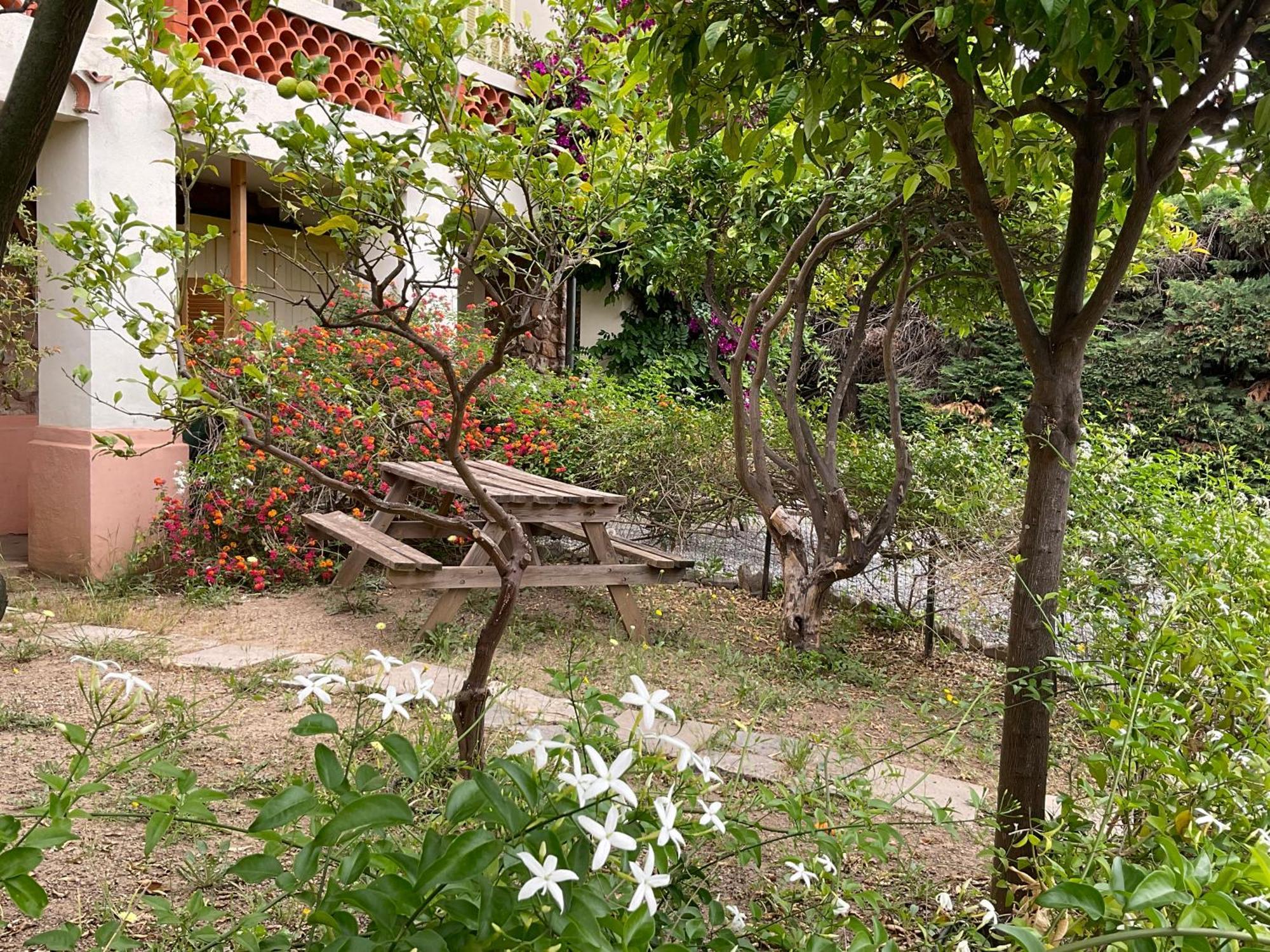 Villa La Provence Hyères Buitenkant foto