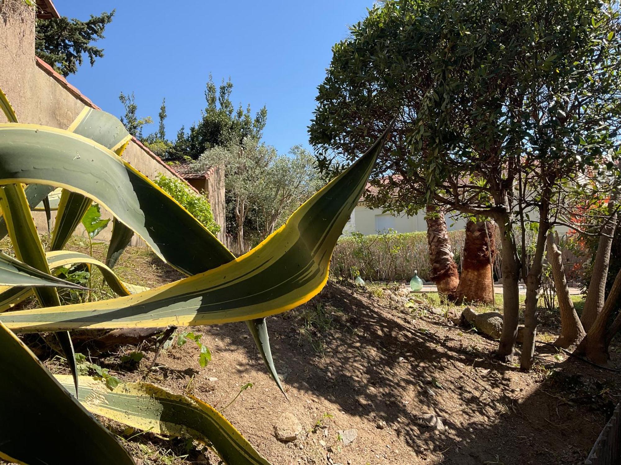 Villa La Provence Hyères Buitenkant foto