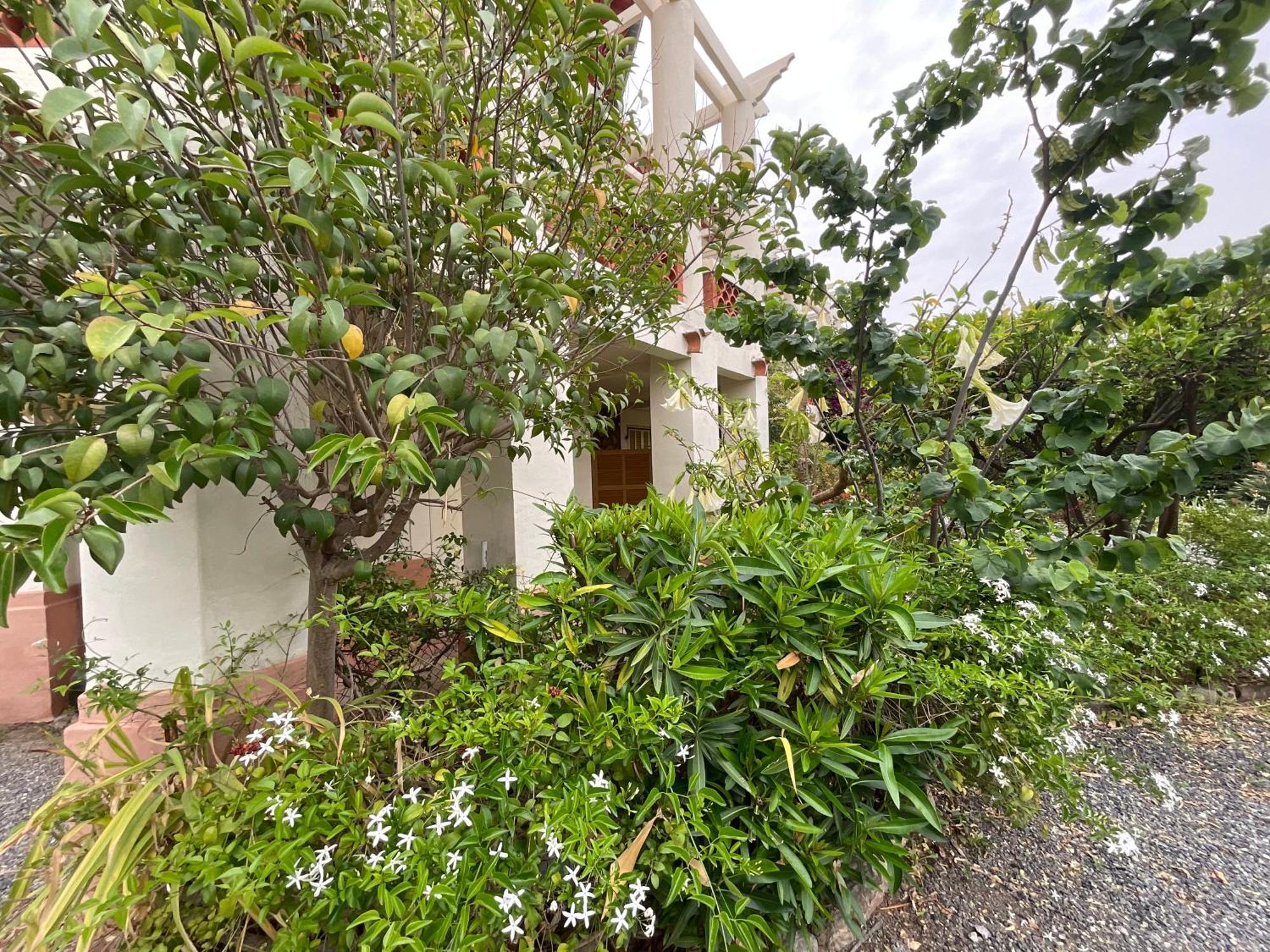 Villa La Provence Hyères Buitenkant foto