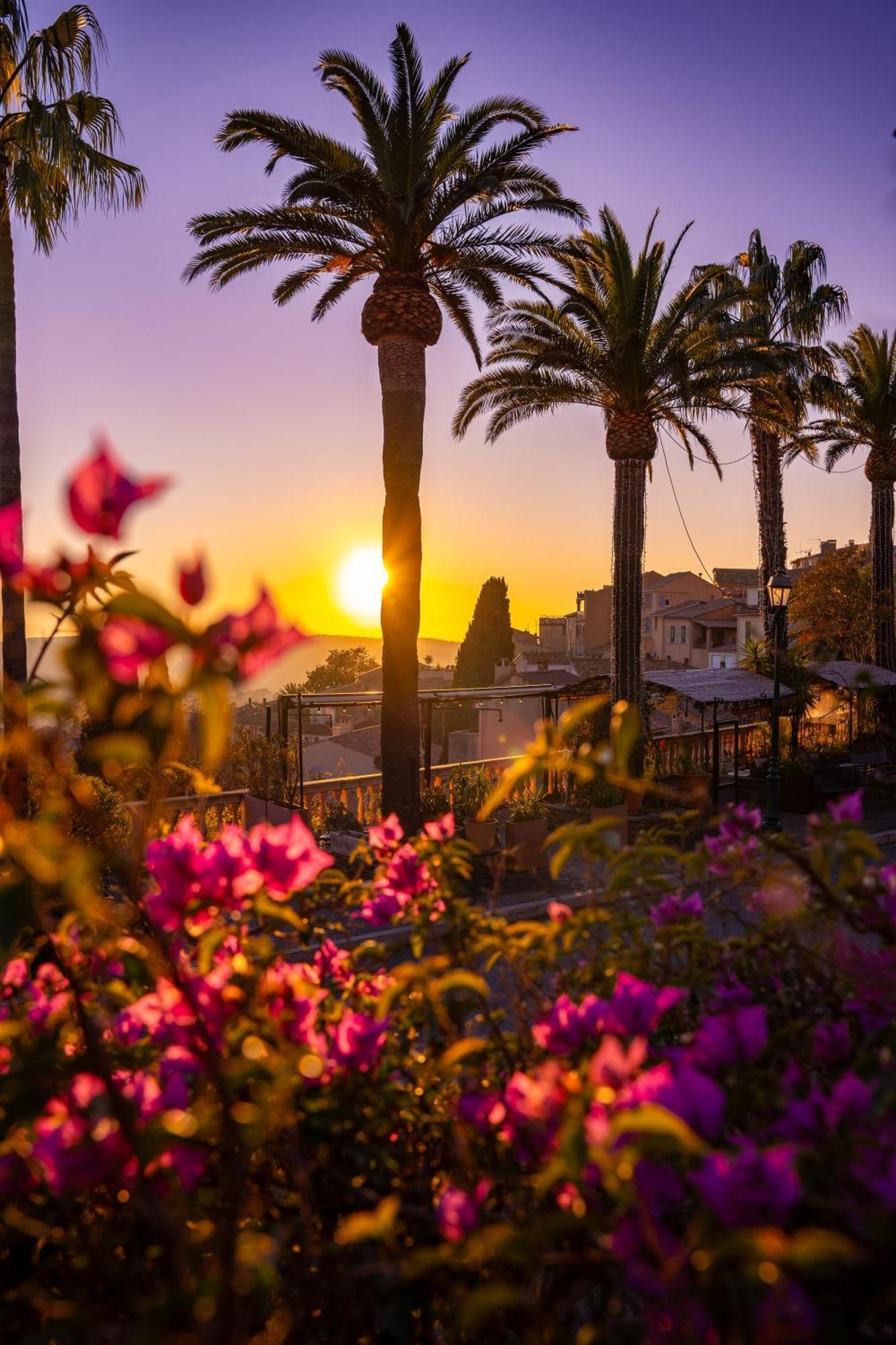 Villa La Provence Hyères Buitenkant foto