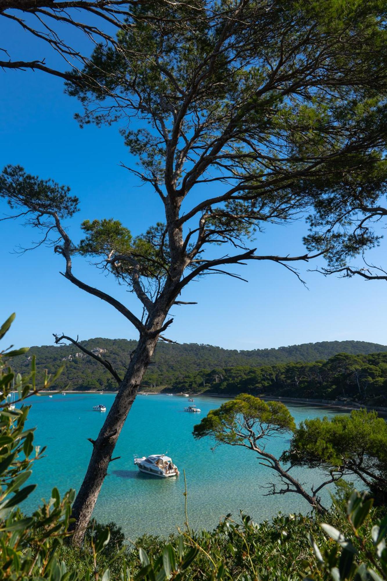Villa La Provence Hyères Buitenkant foto